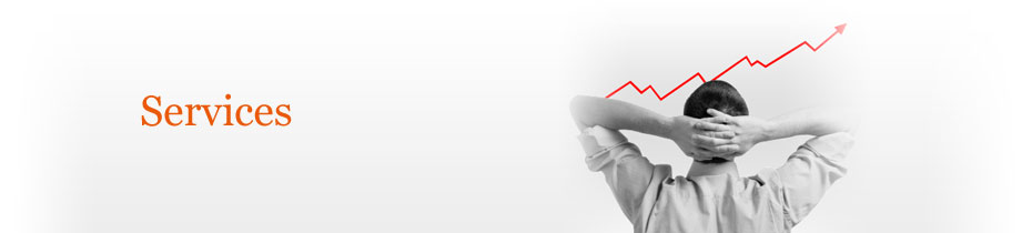 Mirror IT Solutions Inc